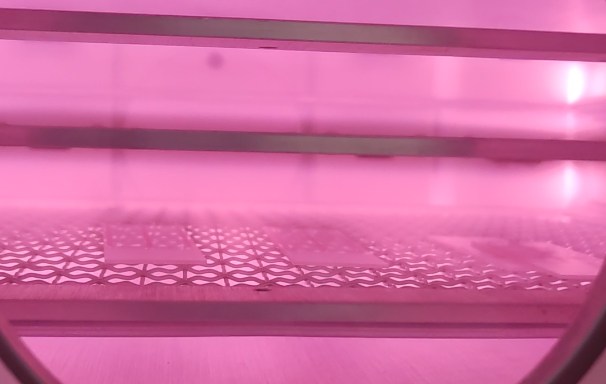转瓶香蕉视频黄下载机
