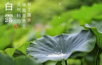 今迎白露，盛夏退场-香蕉视频APP破解版香蕉视频黄下载机